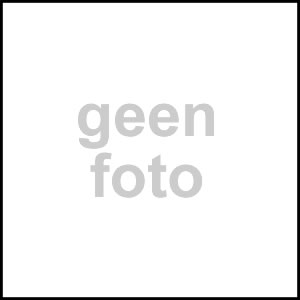 Cloer wafelijzer 1445